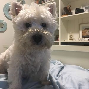 Meet your Posher, Sara